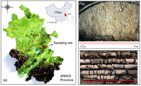 Dynamic Damage Characteristics of Red Sandstone: An