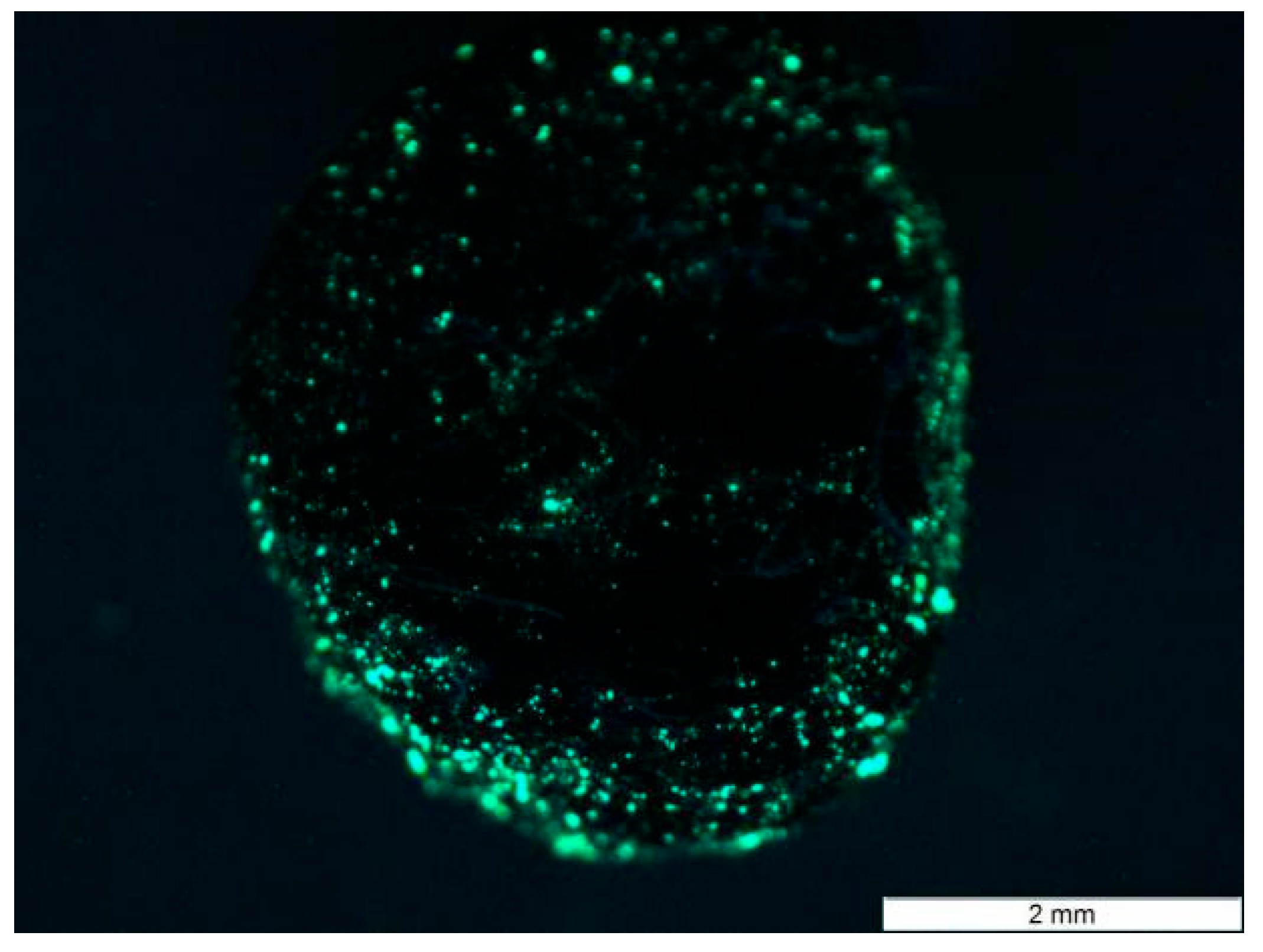 Buildings 15 01891 g004