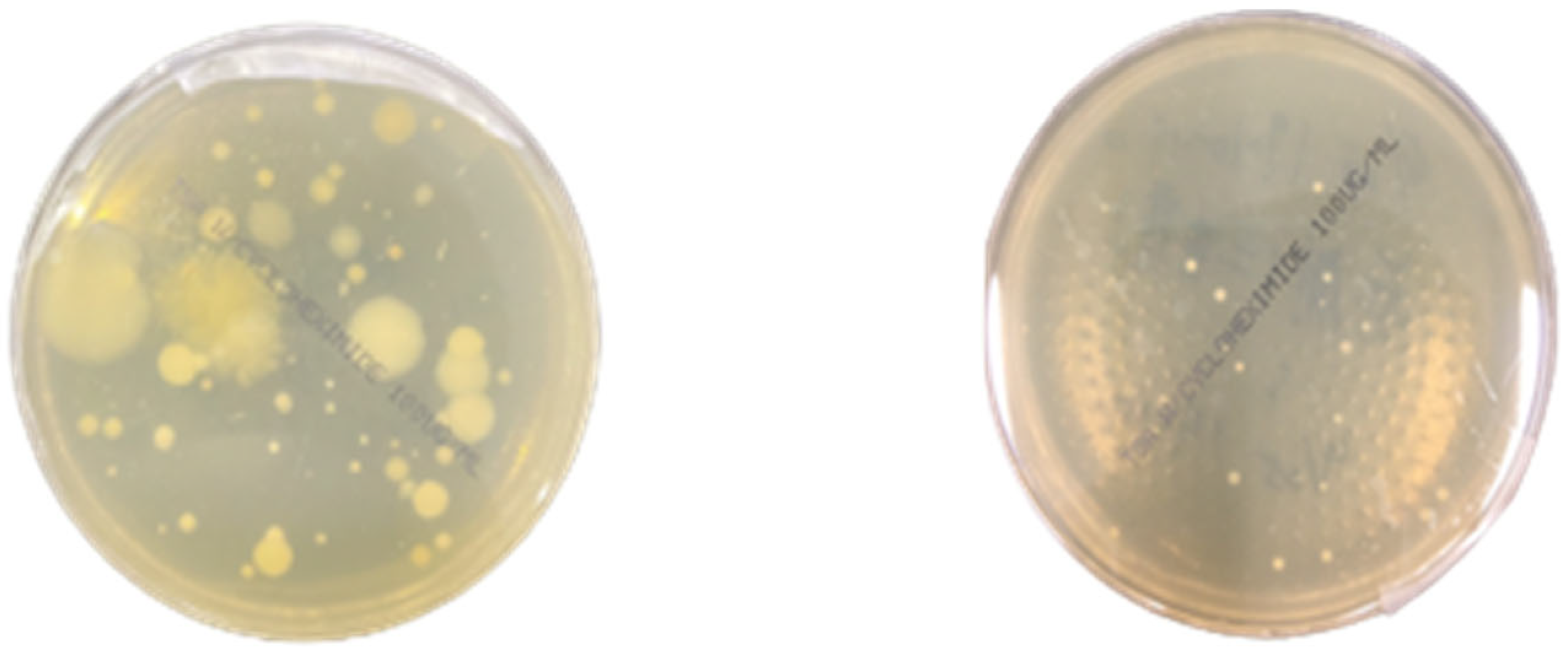 Buildings 15 01893 g005