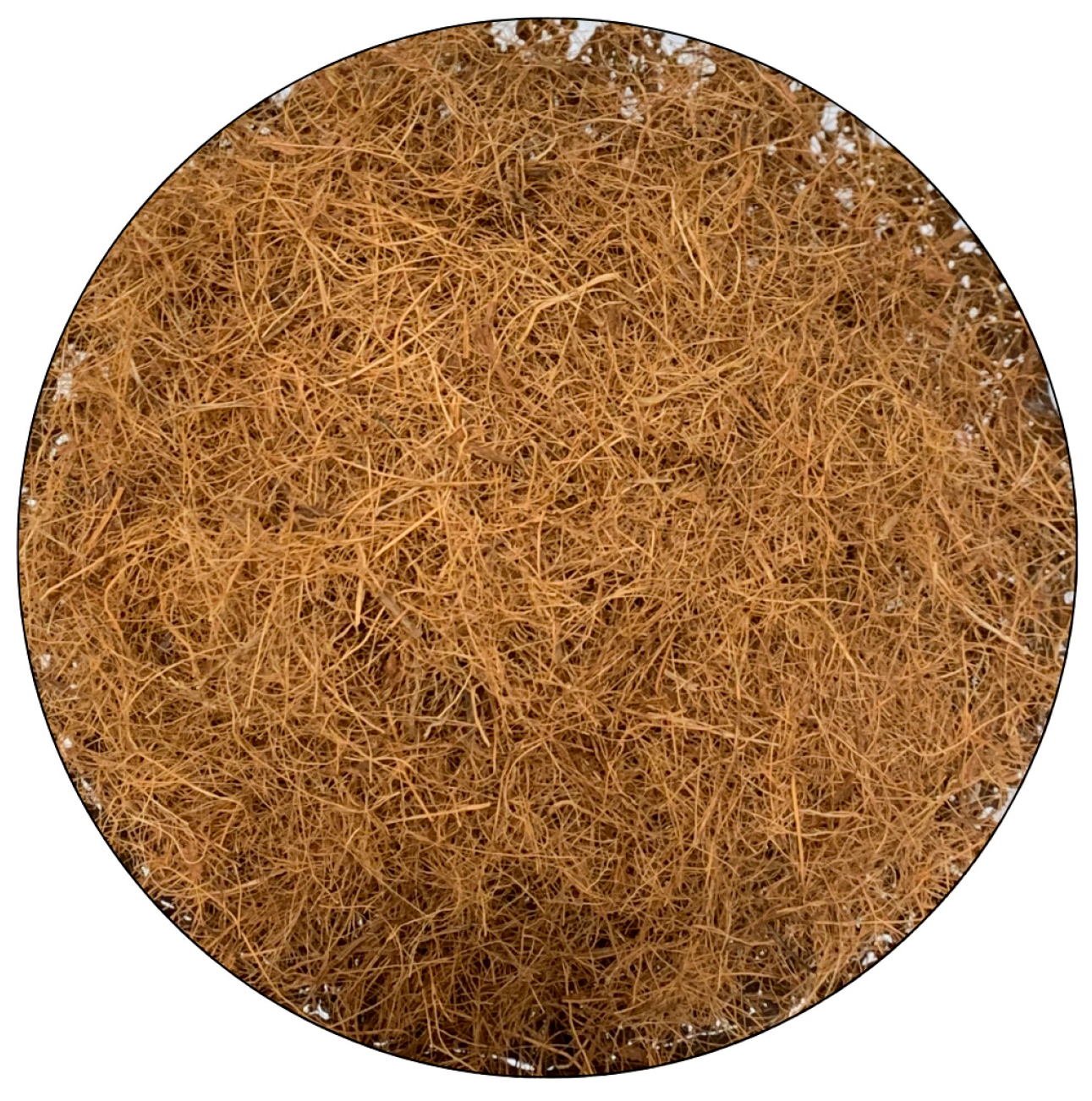 Buildings 15 01899 g002