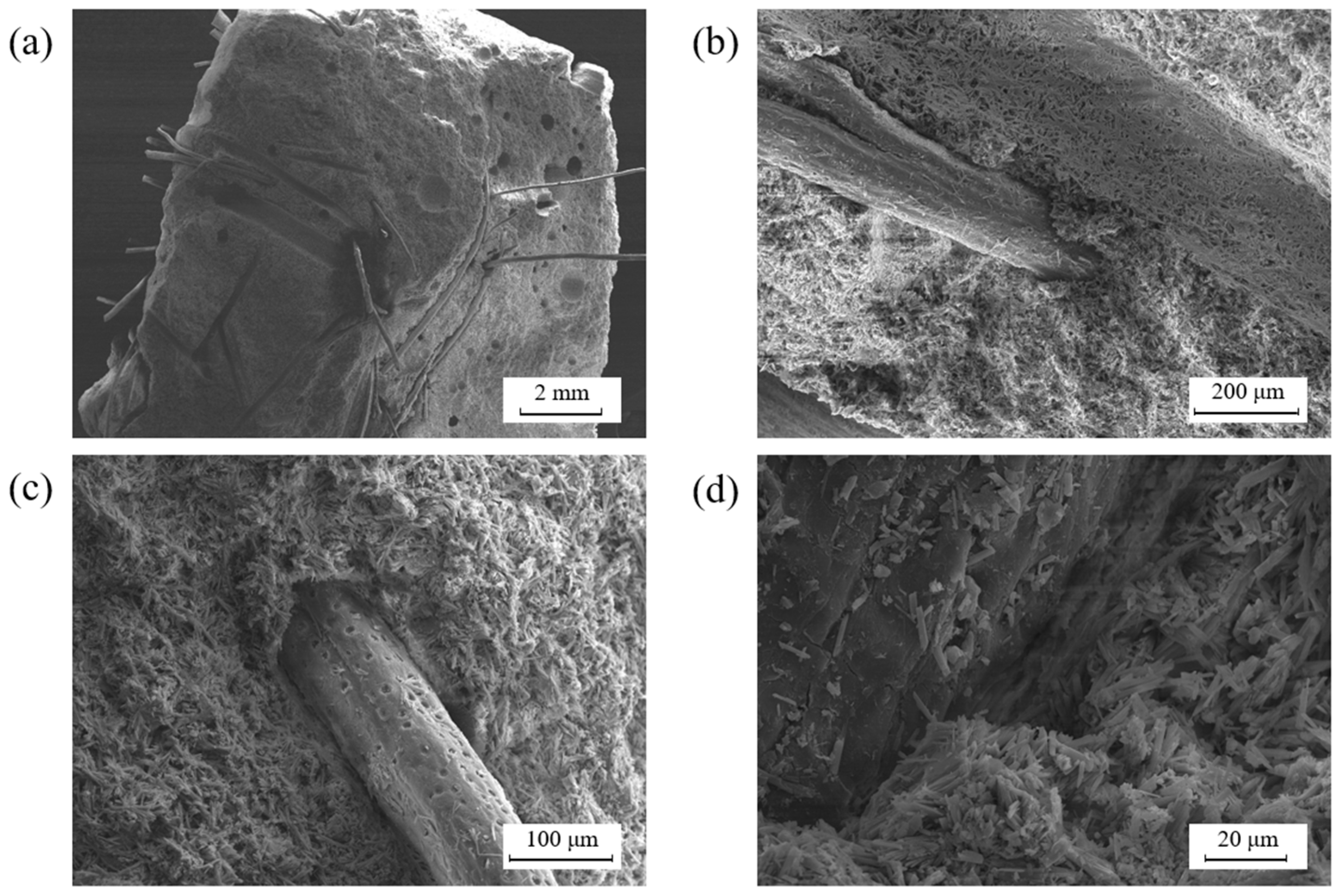 Buildings 15 01899 g008