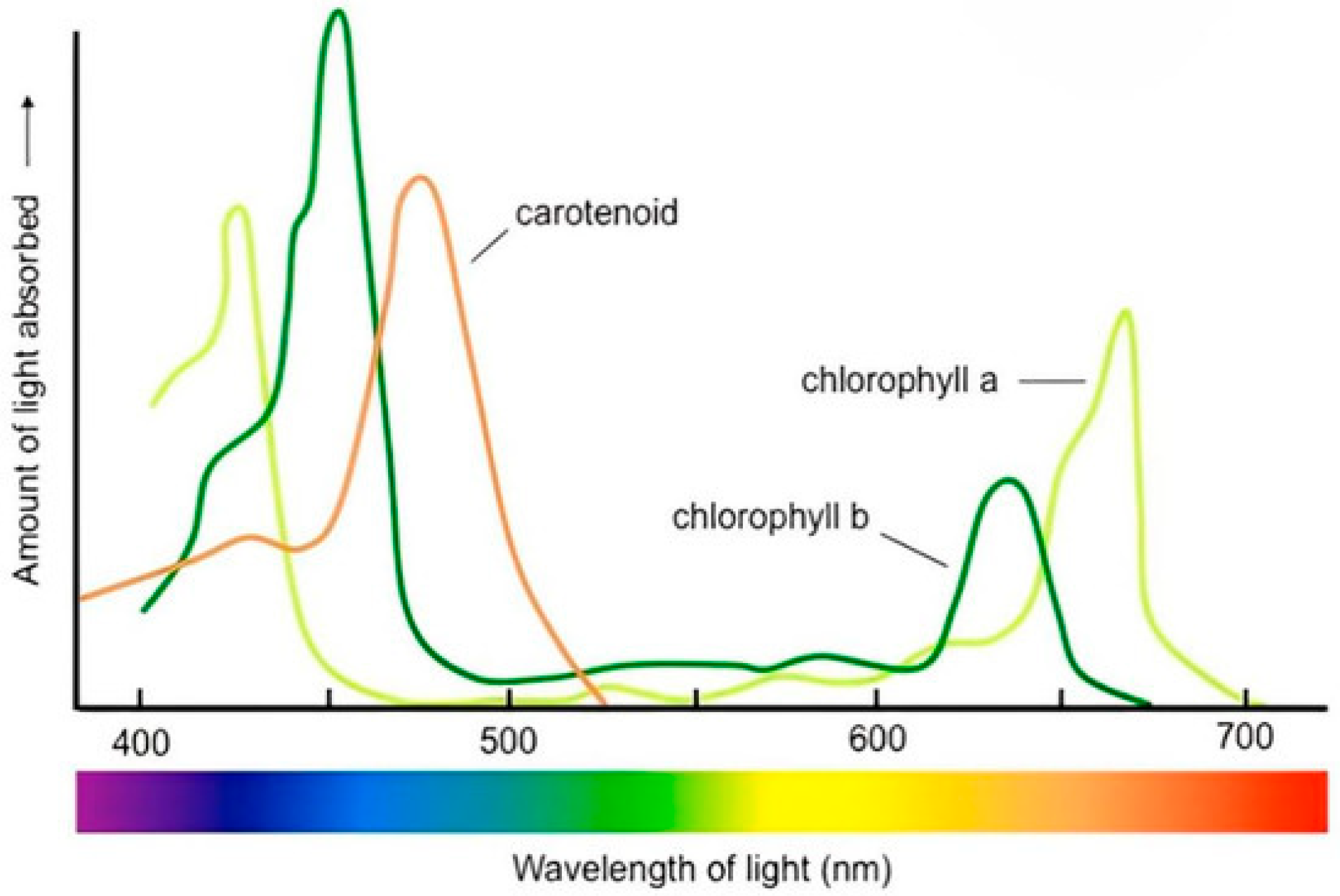 Buildings 15 01965 g006