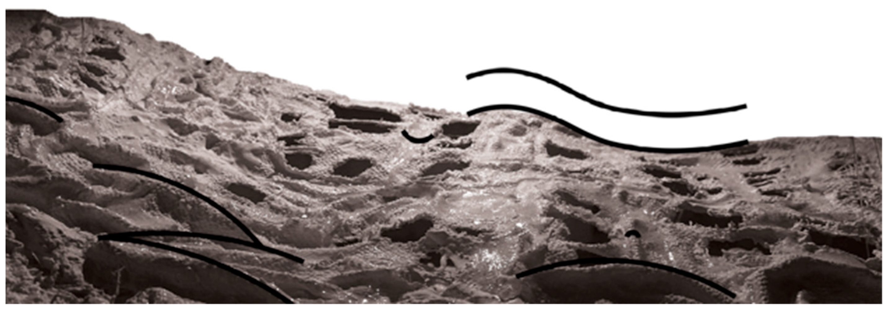 Buildings 15 02107 g004