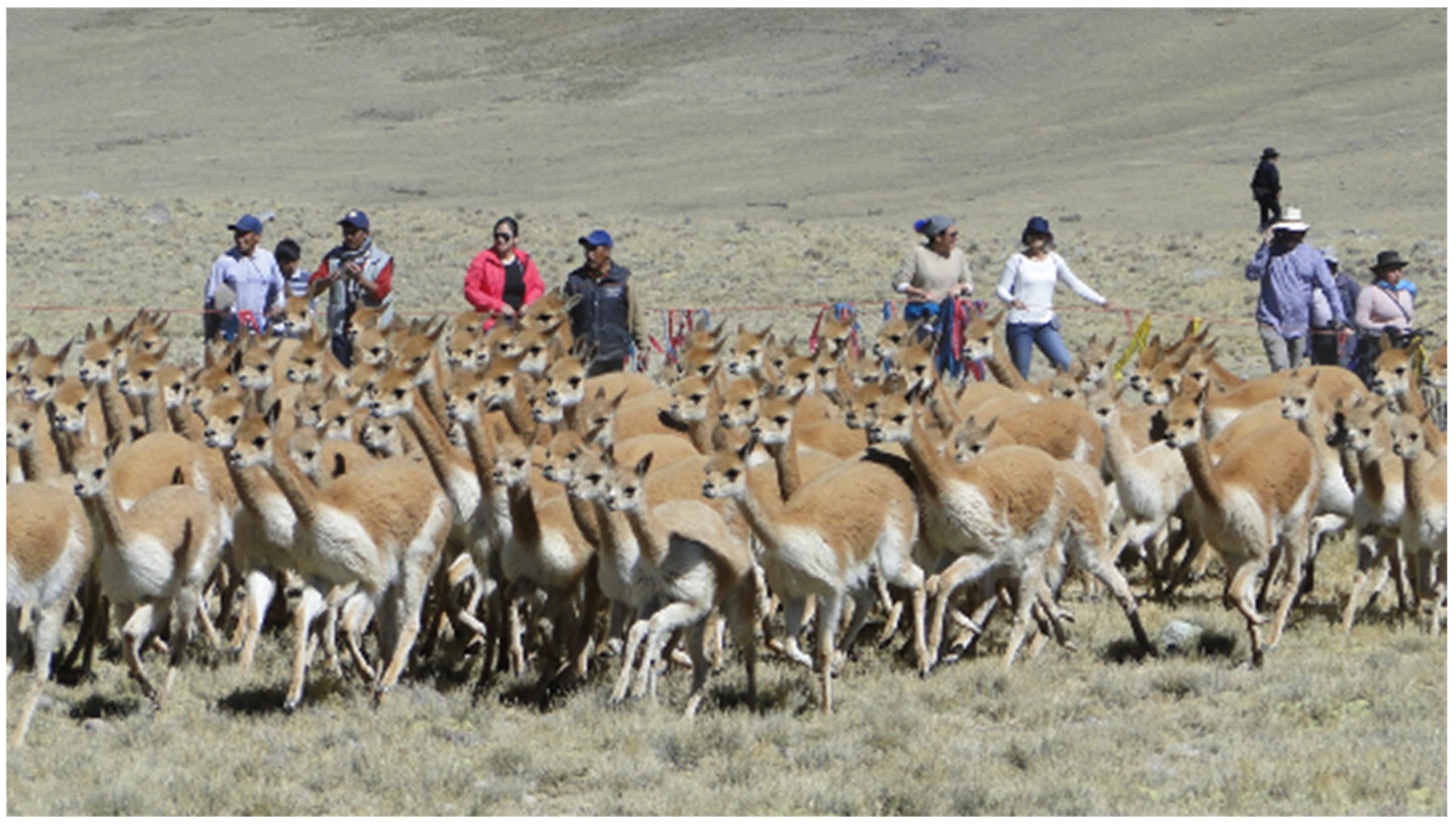 Buildings 15 02315 g001