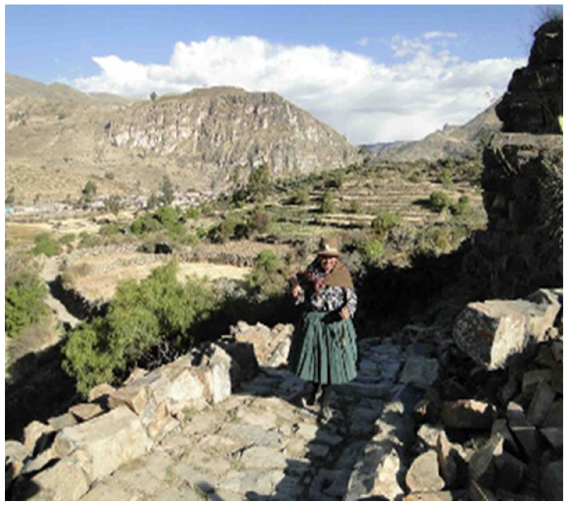 Buildings 15 02315 g002