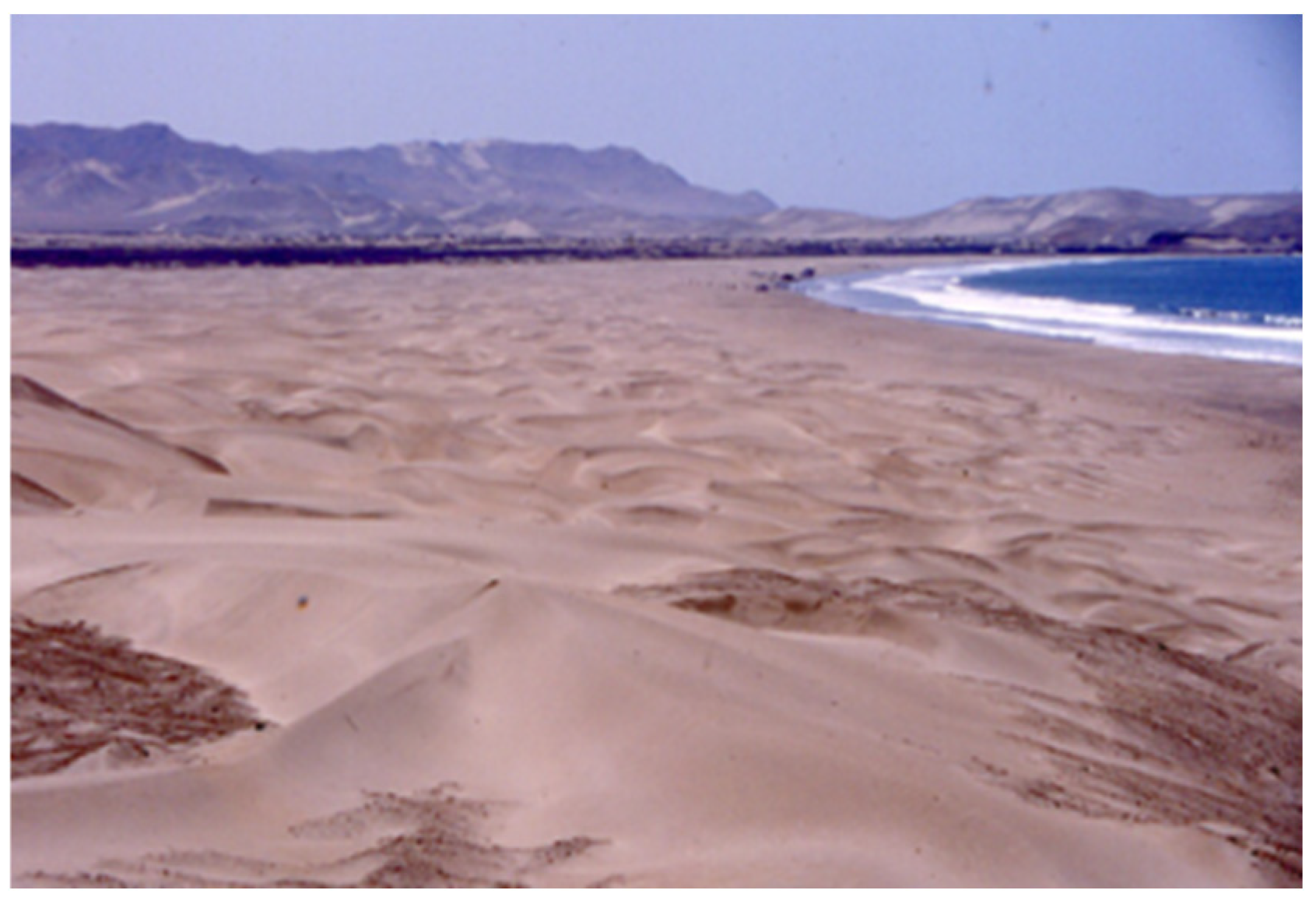 Buildings 15 02315 g004