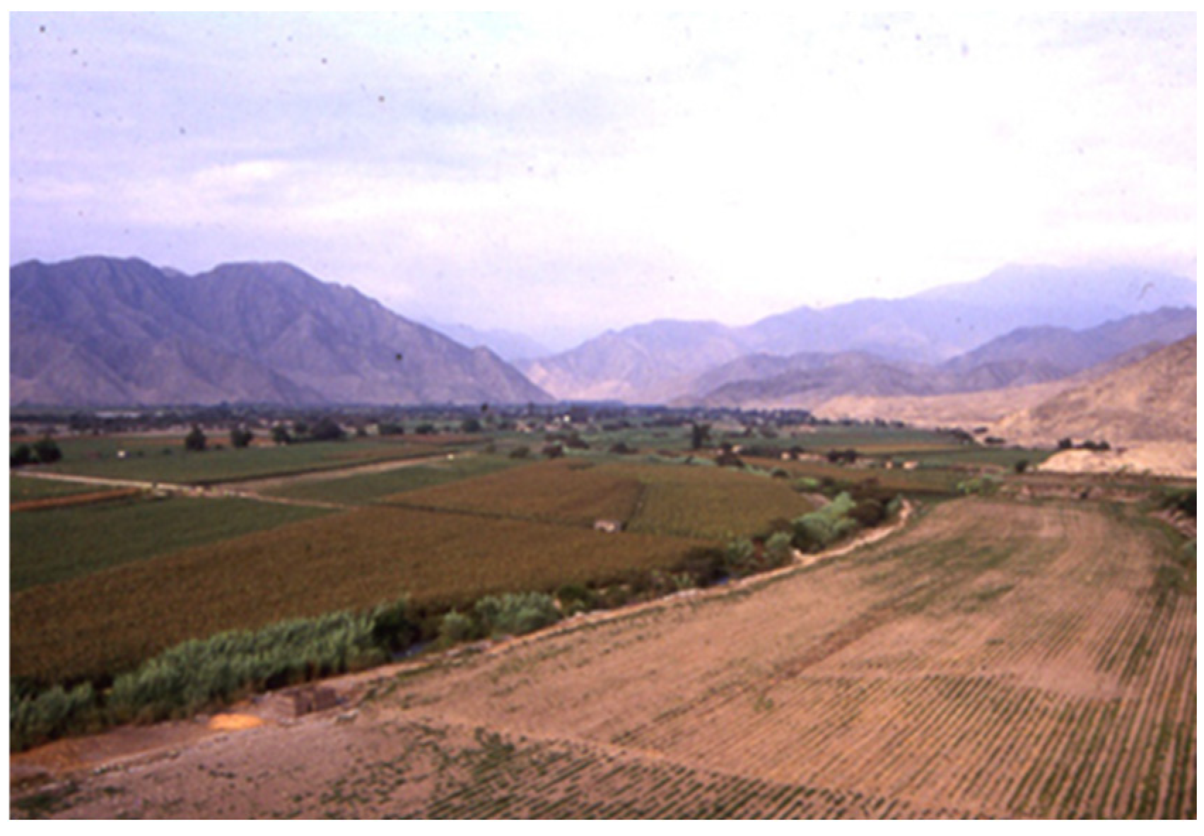 Buildings 15 02315 g008