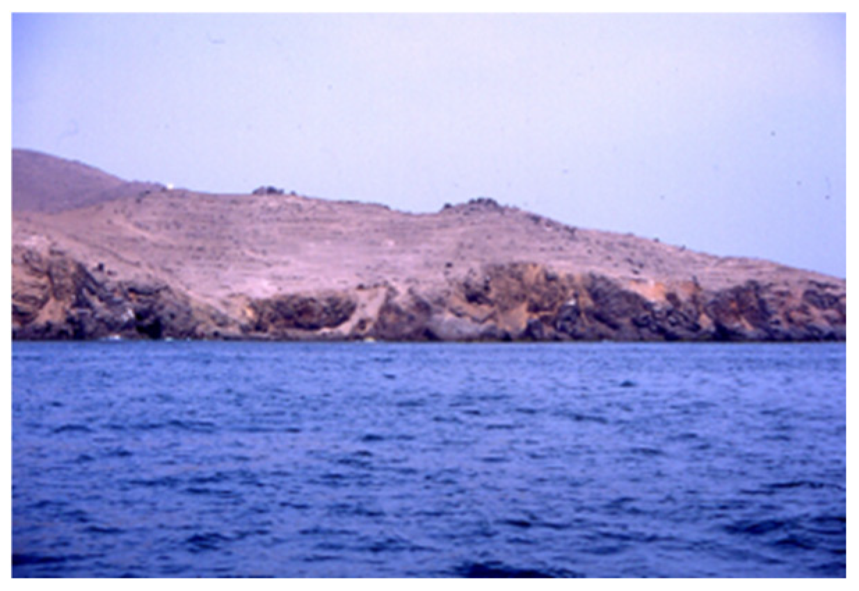 Buildings 15 02315 g012