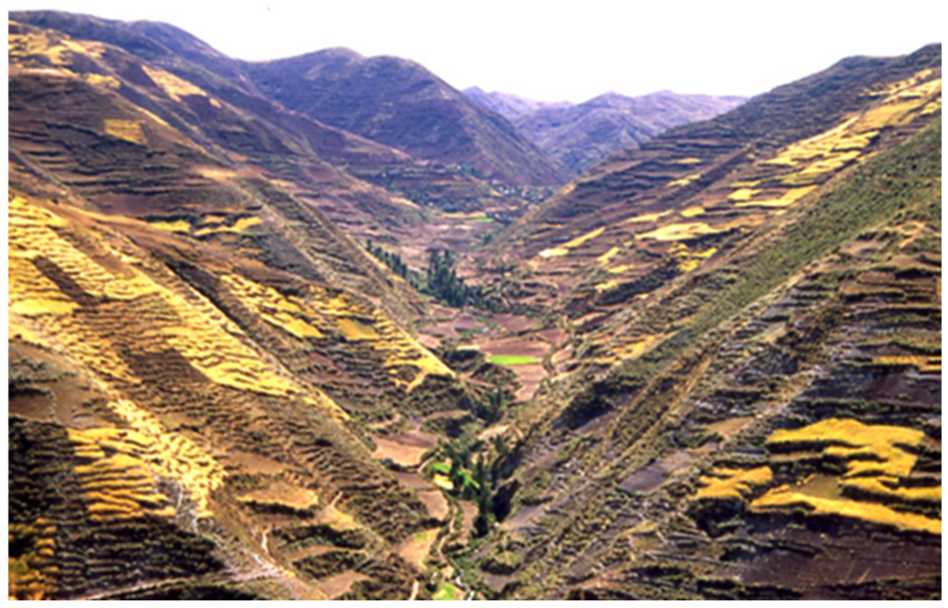 Buildings 15 02315 g015