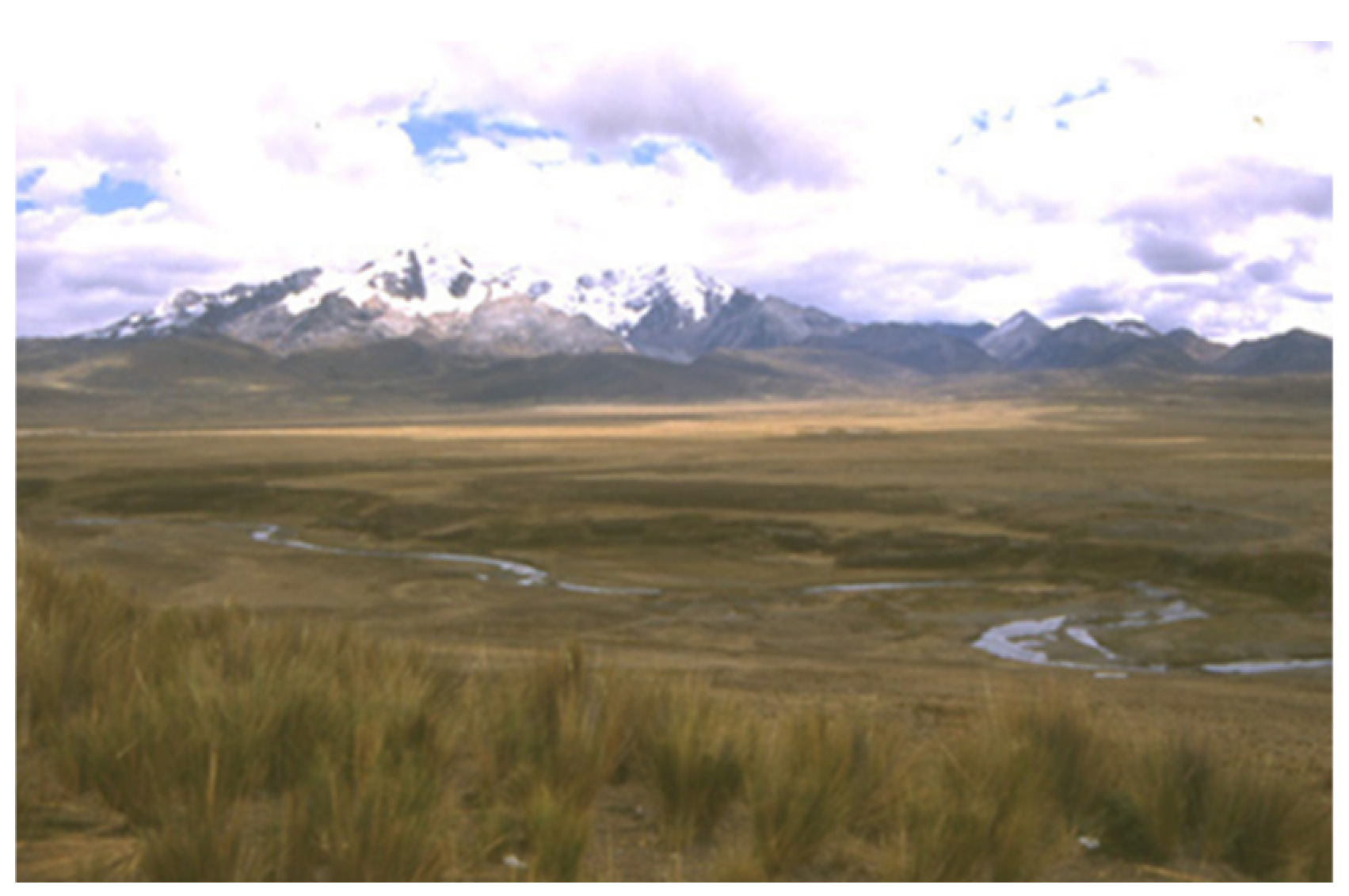 Buildings 15 02315 g017