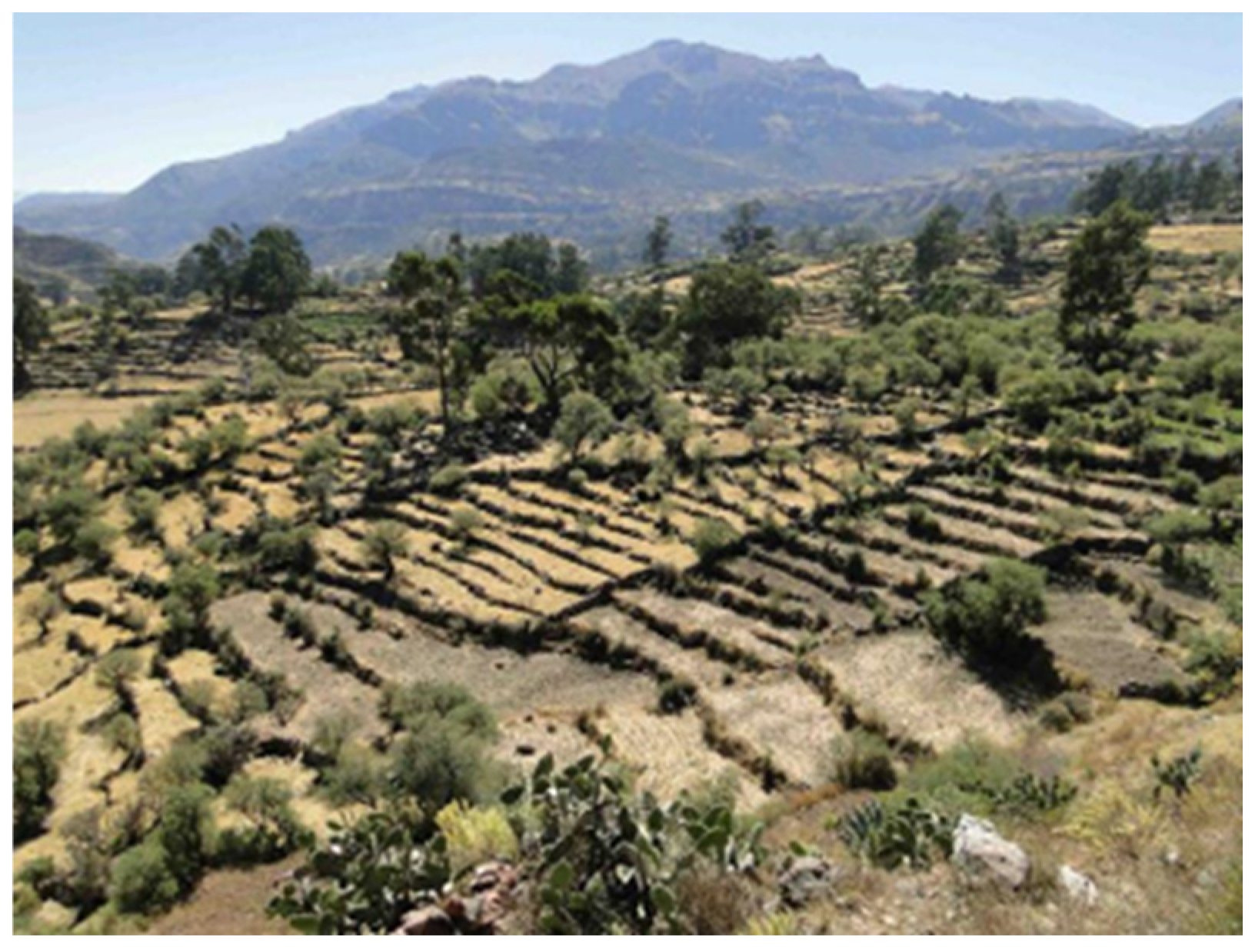 Buildings 15 02315 g025