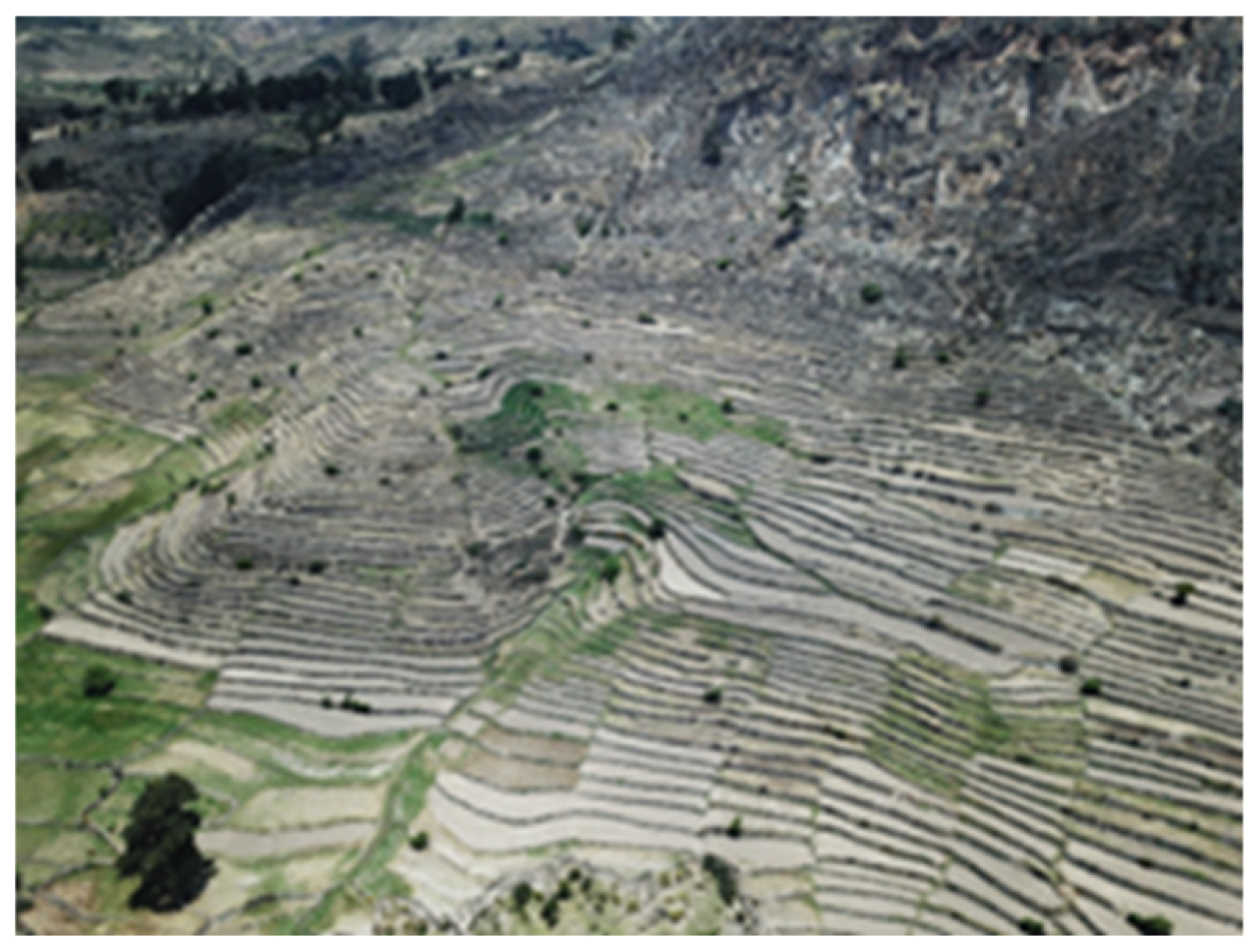 Buildings 15 02315 g027