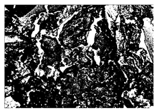 Buildings 15 02386 i014