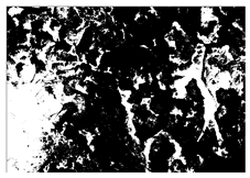 Buildings 15 02386 i021