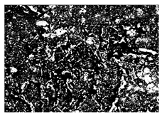 Buildings 15 02386 i026