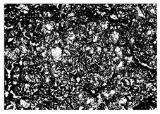 Buildings 15 02386 i027