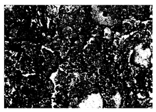 Buildings 15 02386 i044