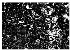 Buildings 15 02386 i045