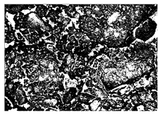 Buildings 15 02386 i055