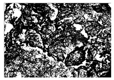 Buildings 15 02386 i068