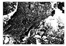 Buildings 15 02386 i073