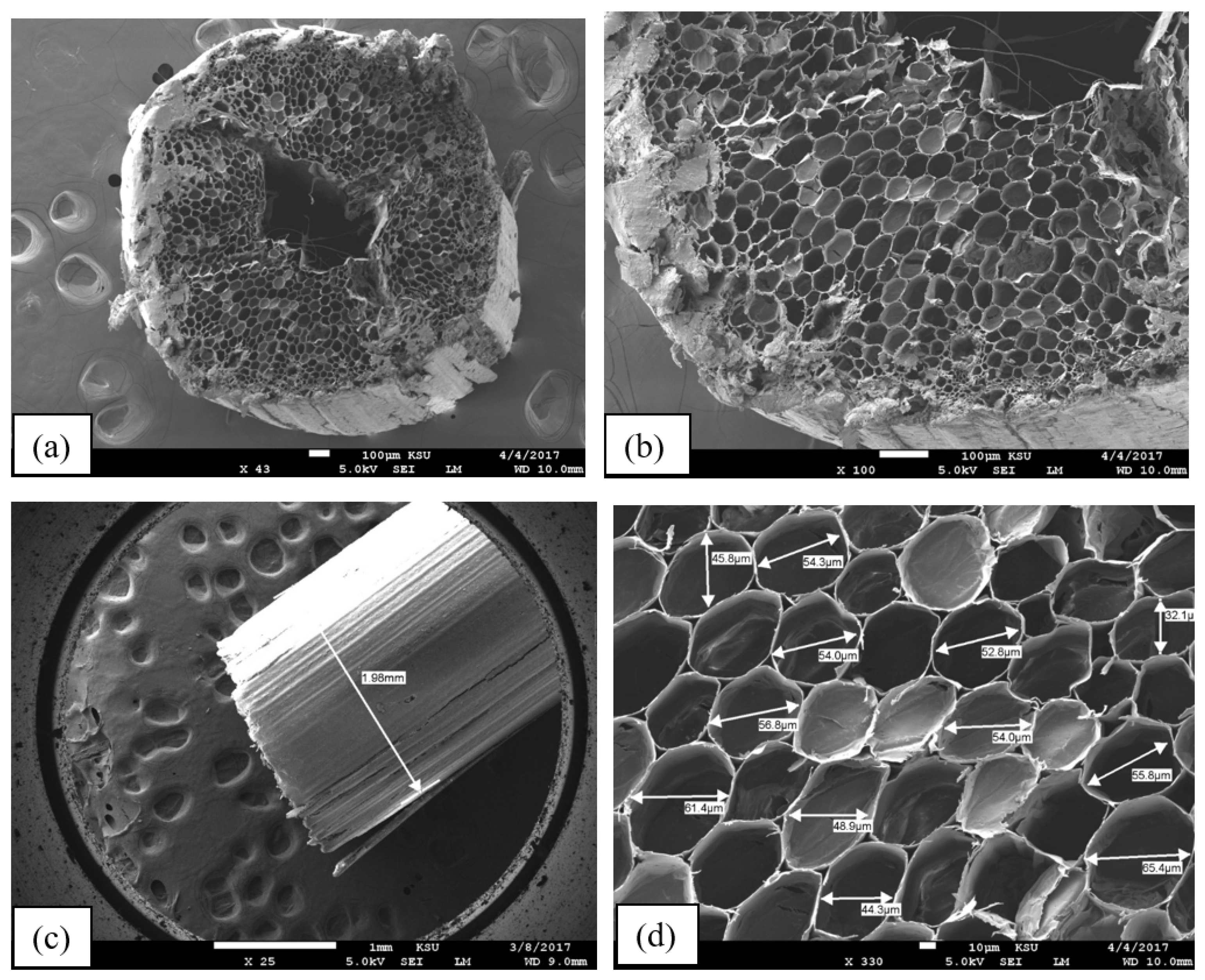 Buildings 15 02402 g005