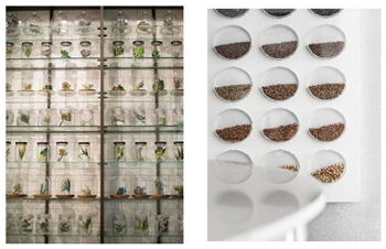 Buildings 15 02419 i031