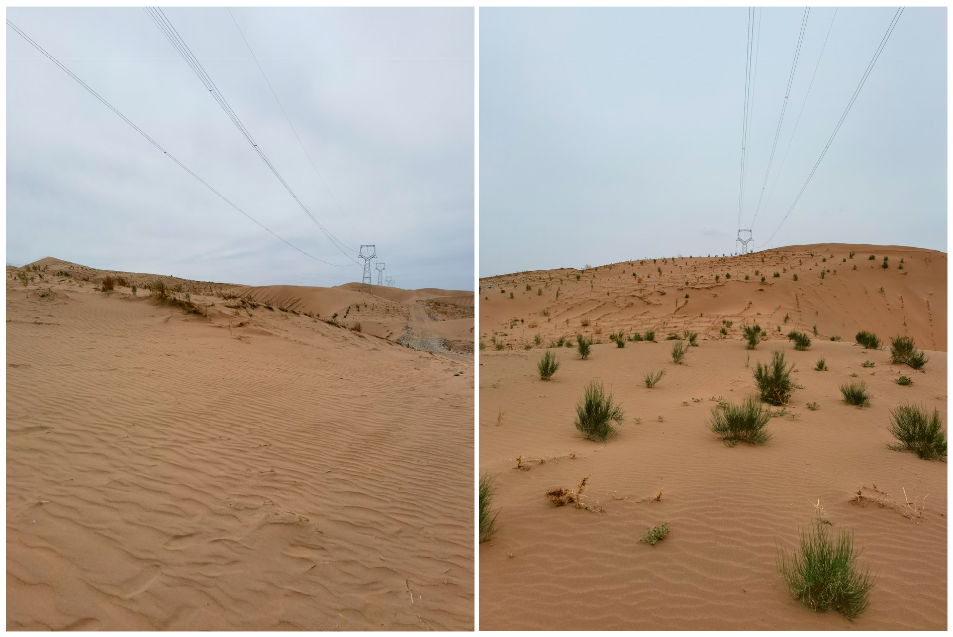 Buildings 15 02480 g001