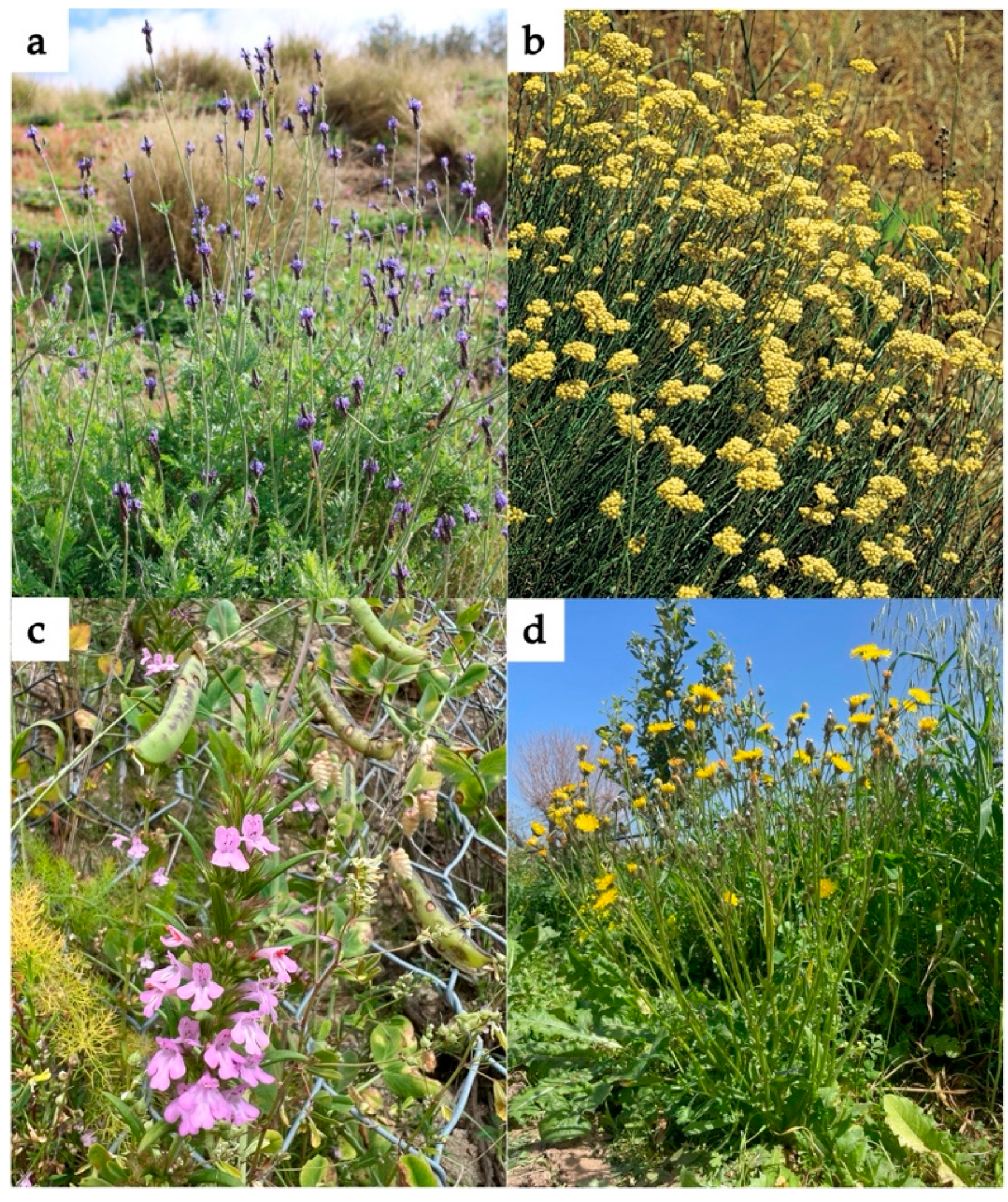 Buildings 15 02557 g005