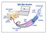 Buildings 15 02803 i008