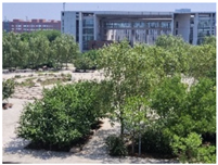 Buildings 15 02804 i006