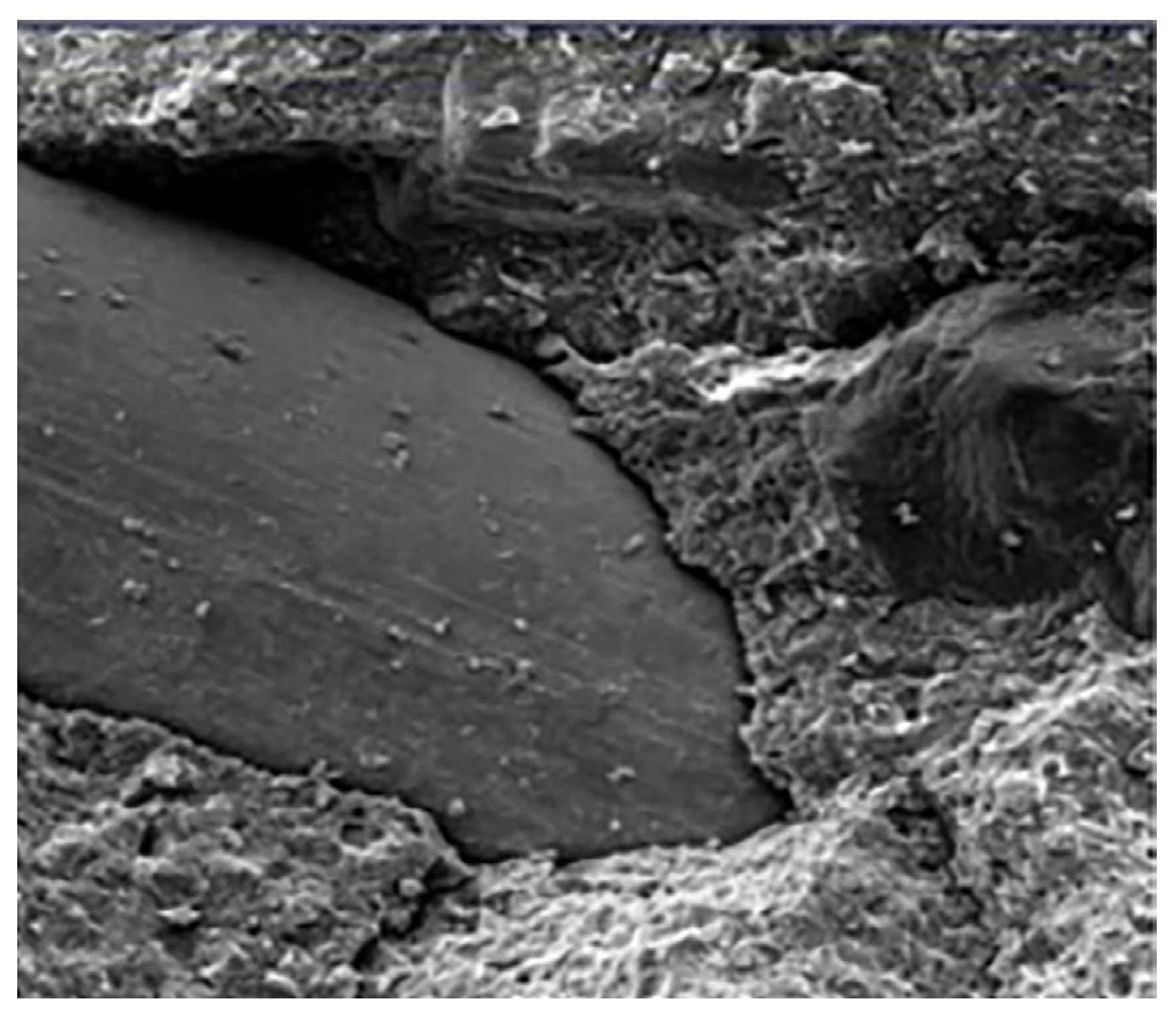 Buildings 15 02875 g025