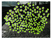 Buildings 15 02900 i061