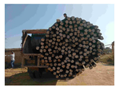 Buildings 15 02900 i065