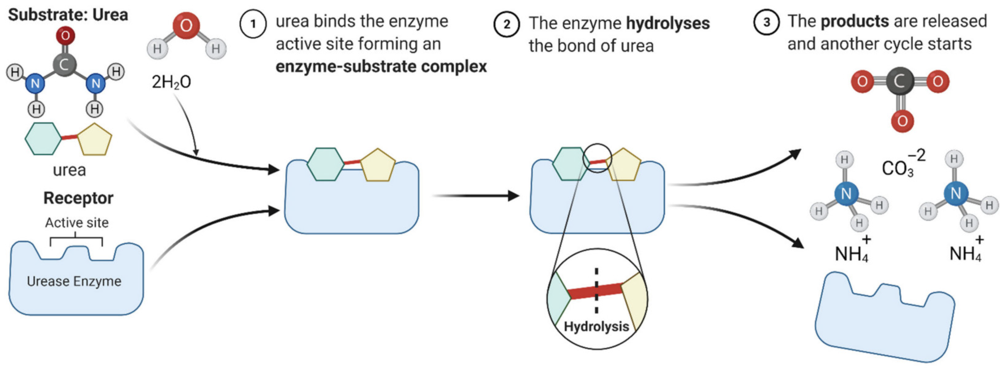 Buildings 15 02915 g001