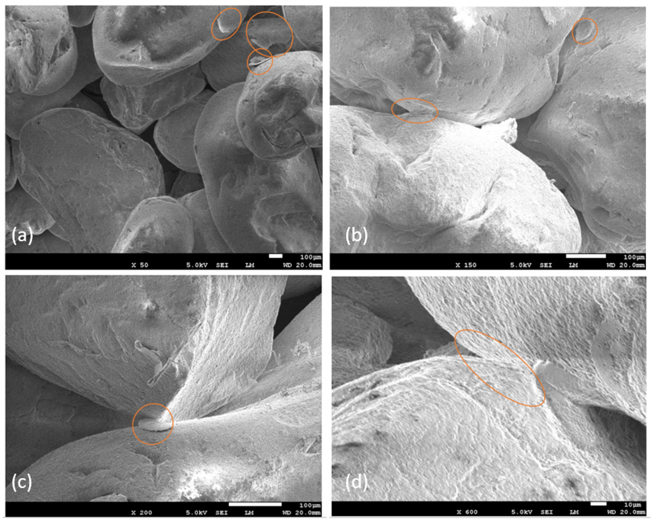 Buildings 15 02915 g016