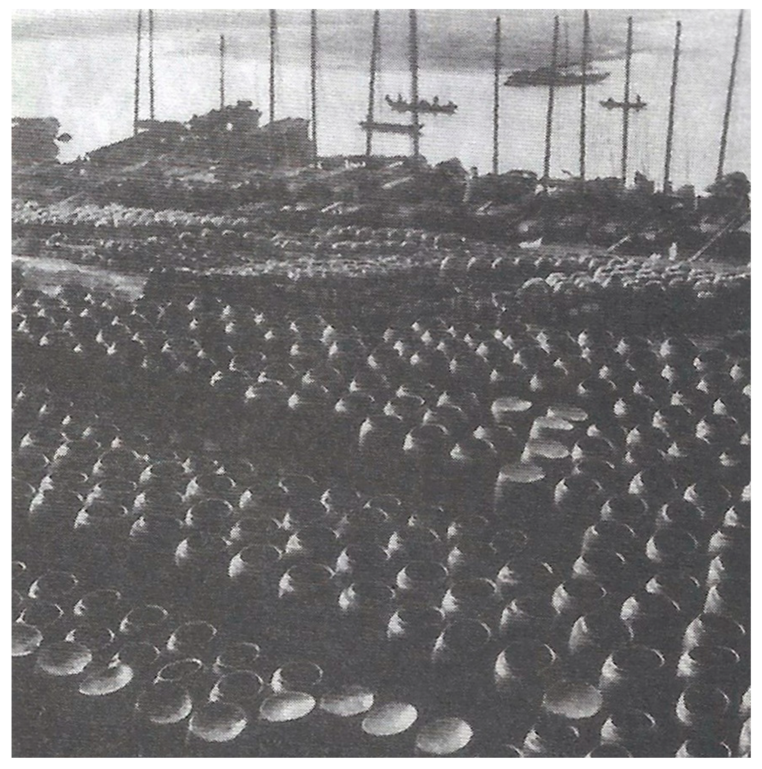 Buildings 15 03088 g007