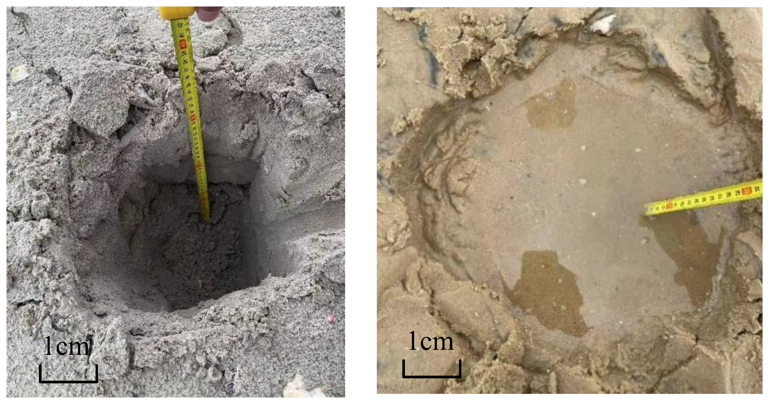 Buildings 15 03104 g011