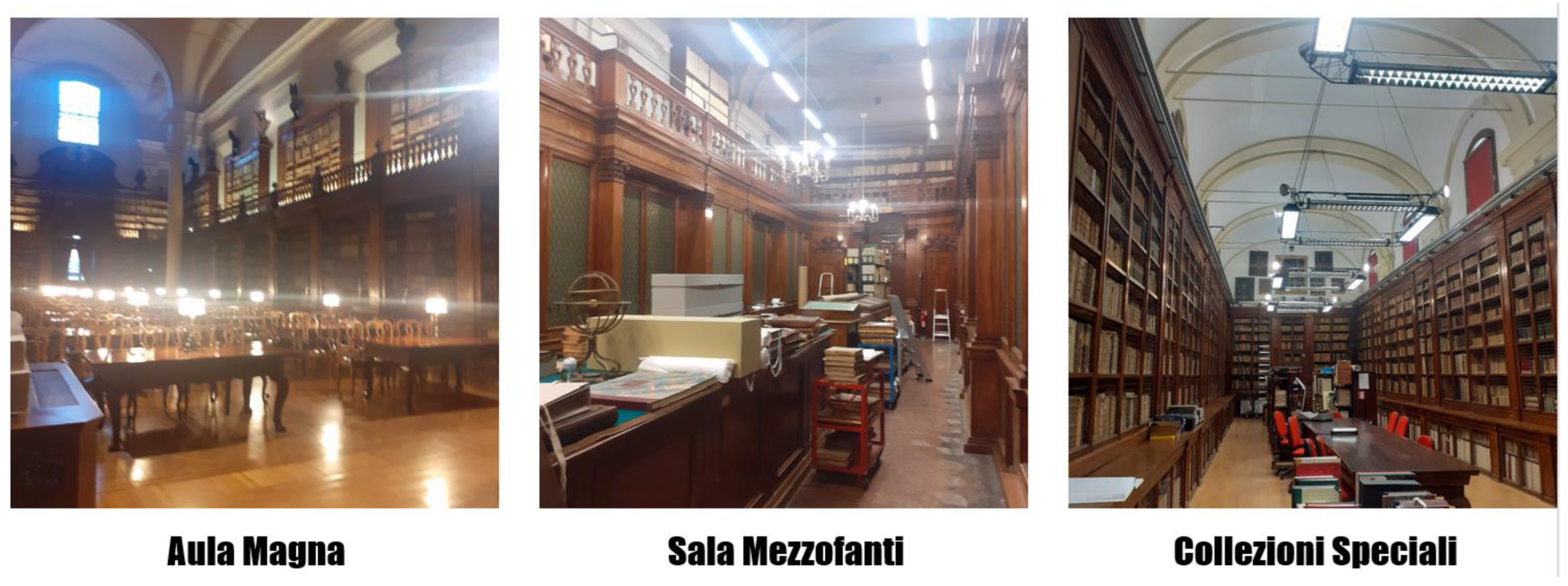 Buildings 15 03235 g003