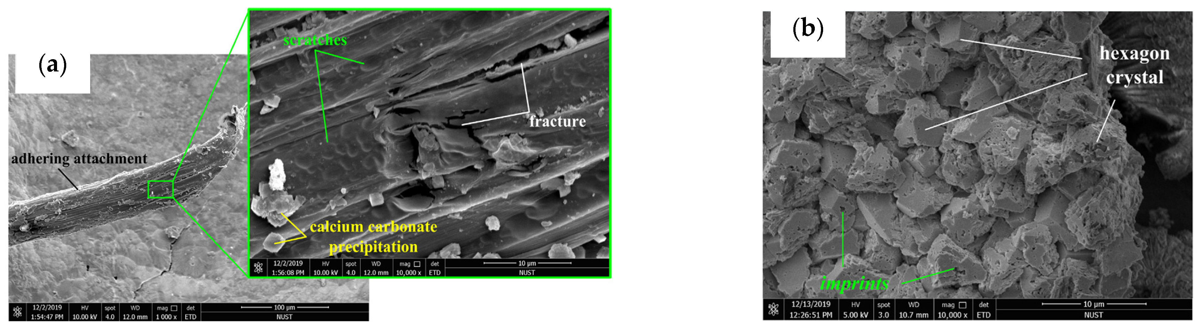 Buildings 15 03289 g013