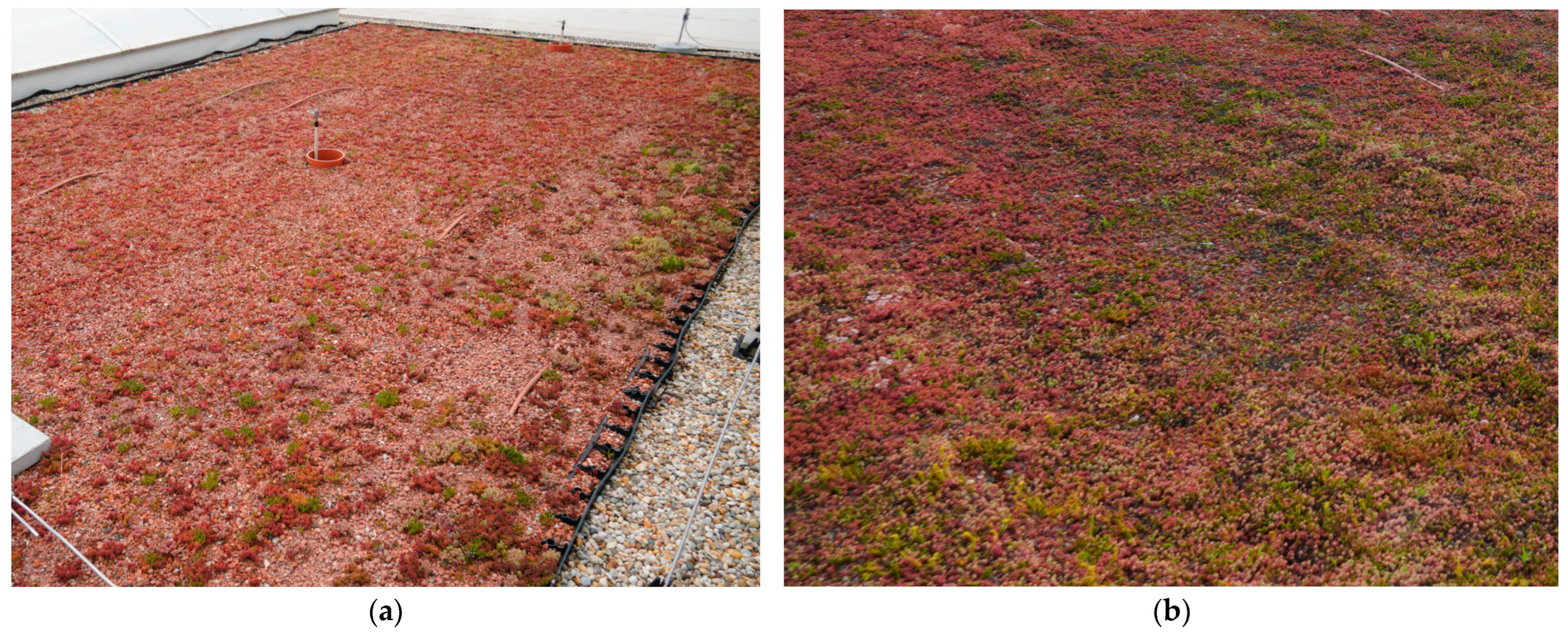 Buildings 15 03430 g002