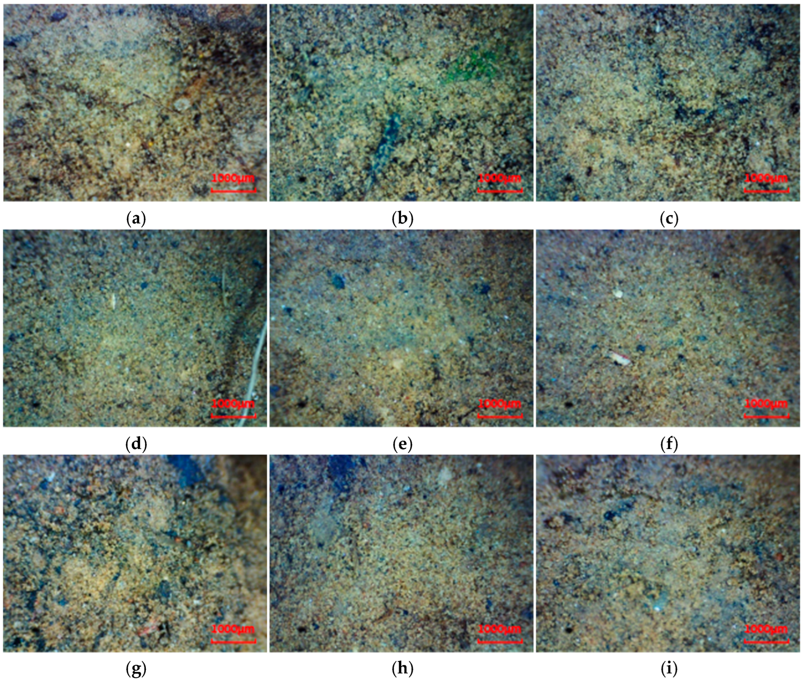 Buildings 15 03491 g010