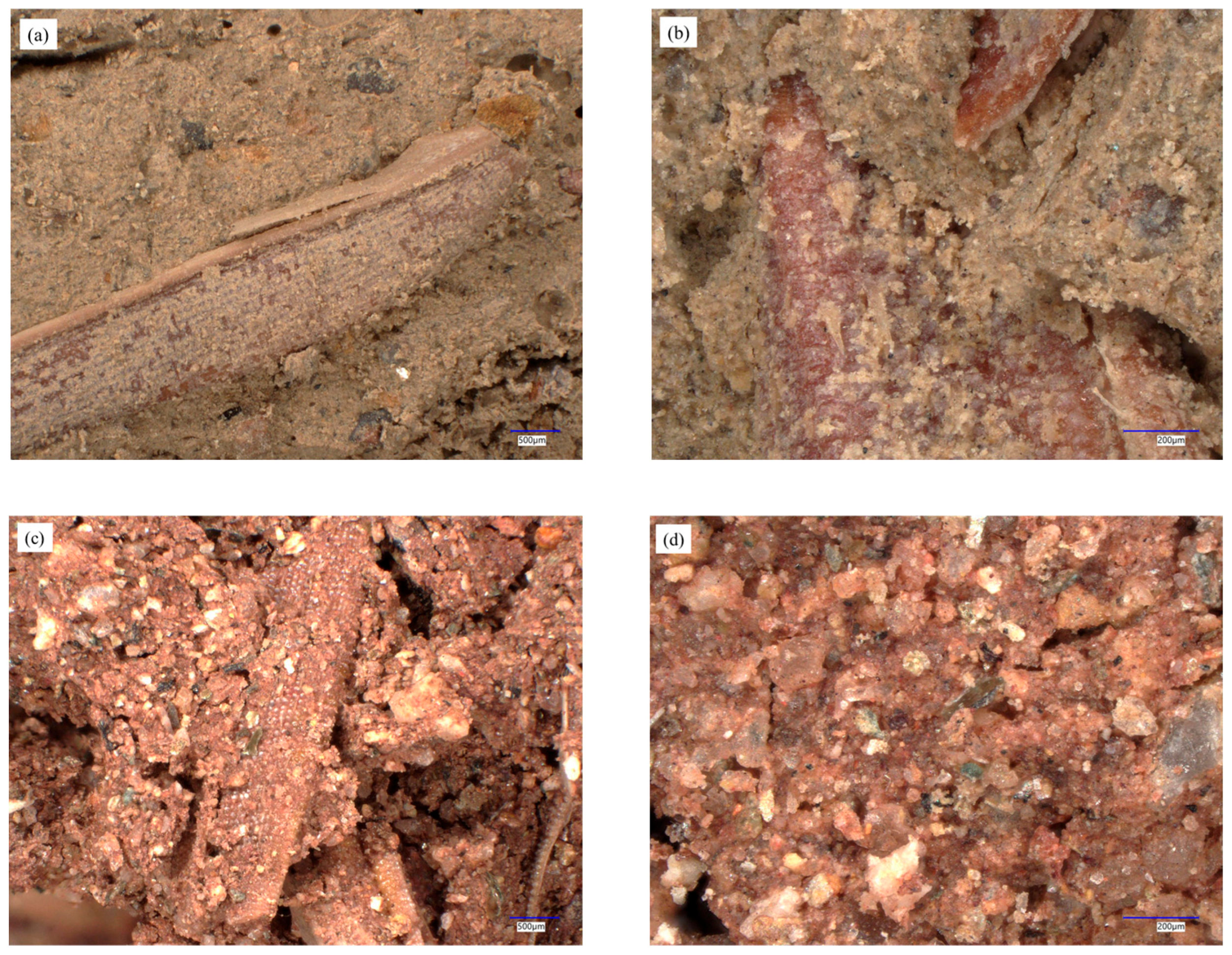 Buildings 15 03508 g013