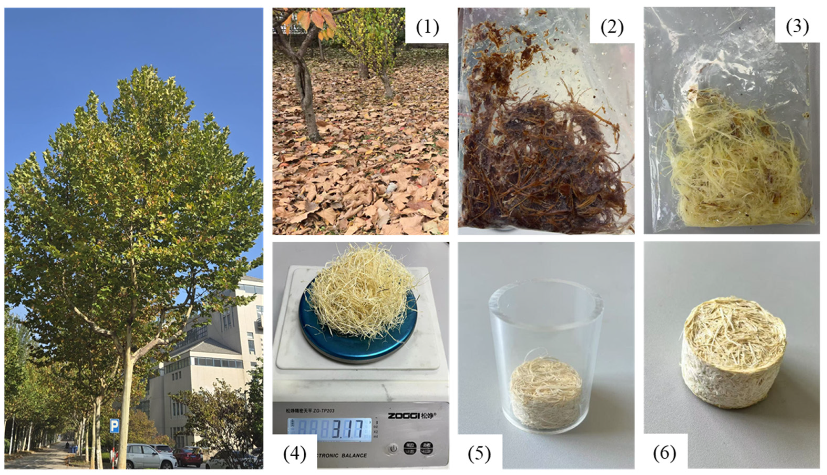 Buildings 15 03582 g001 Buildings 15 03582 g001