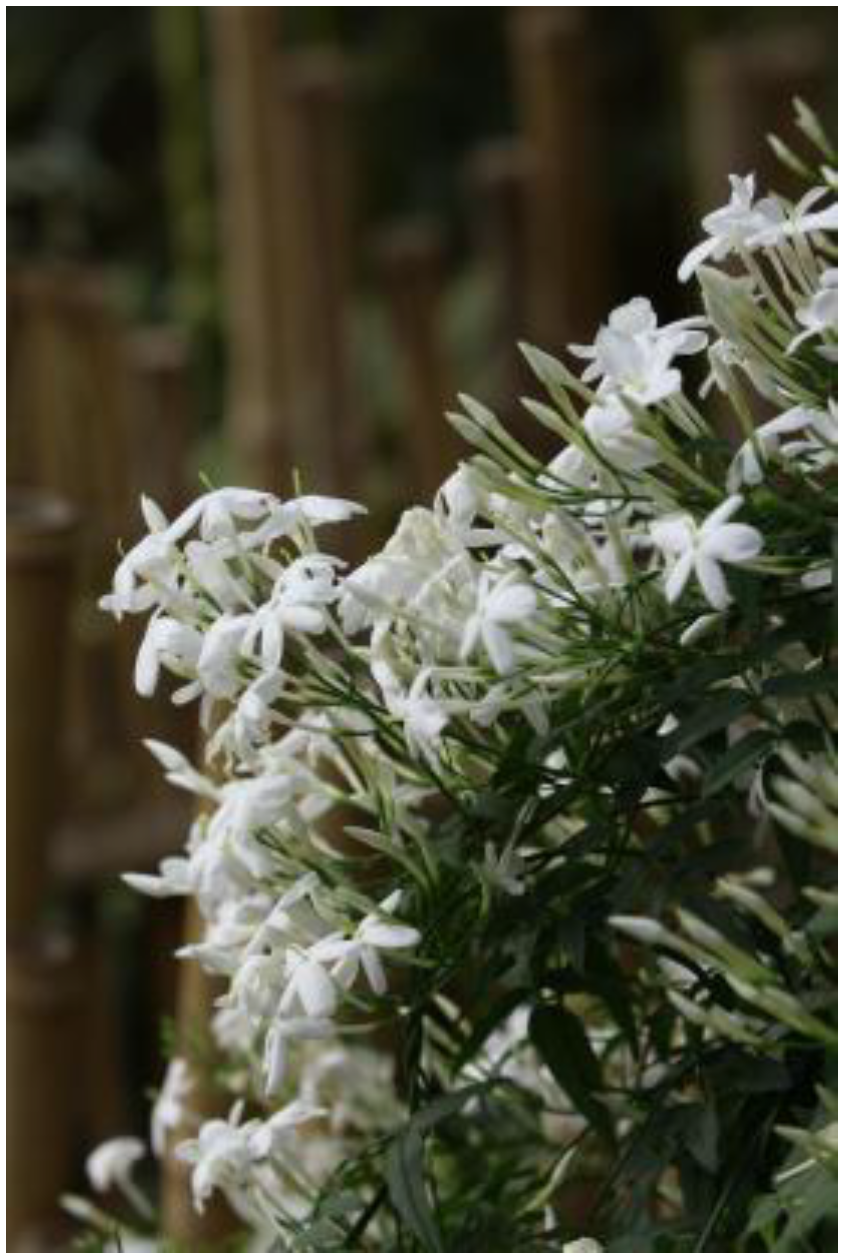 Buildings 15 03636 g007