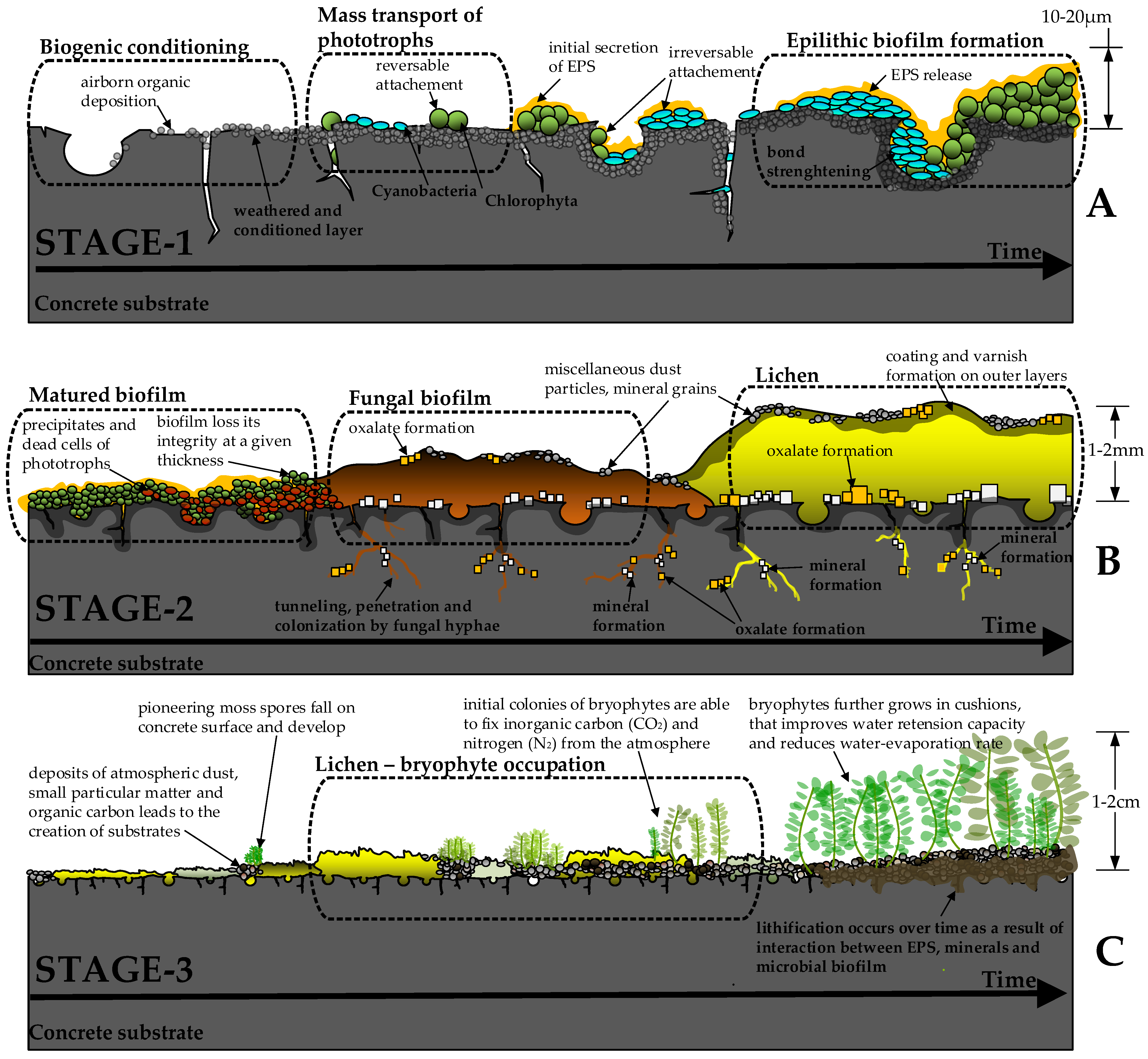 Buildings 15 03646 g002
