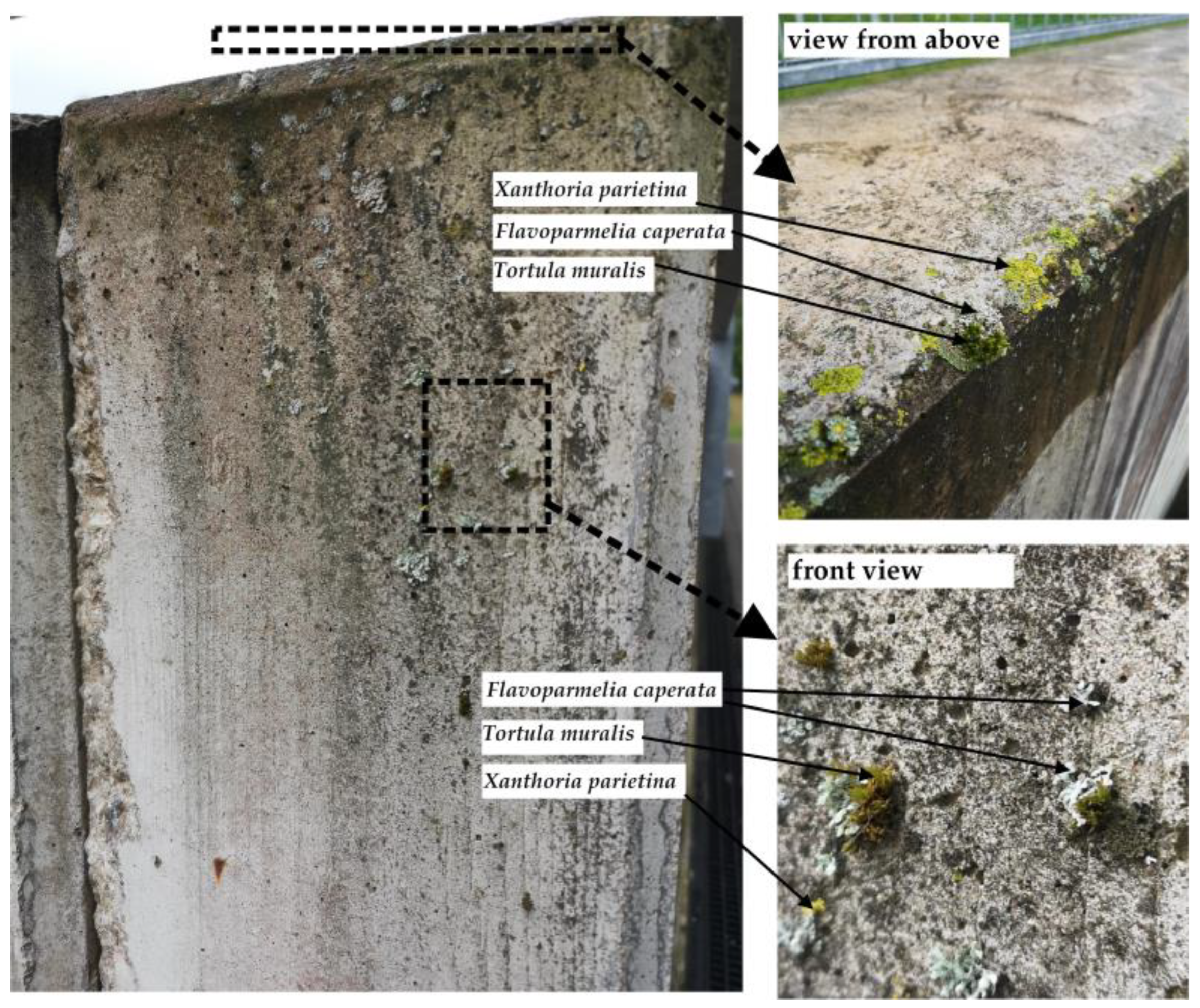 Buildings 15 03646 g006