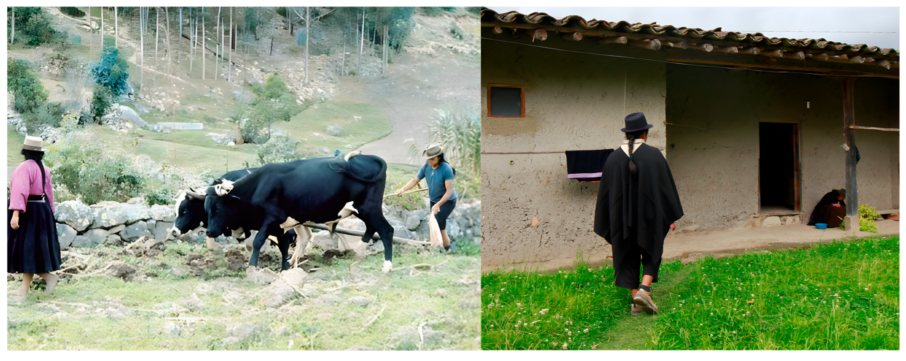 Buildings 15 03649 g003