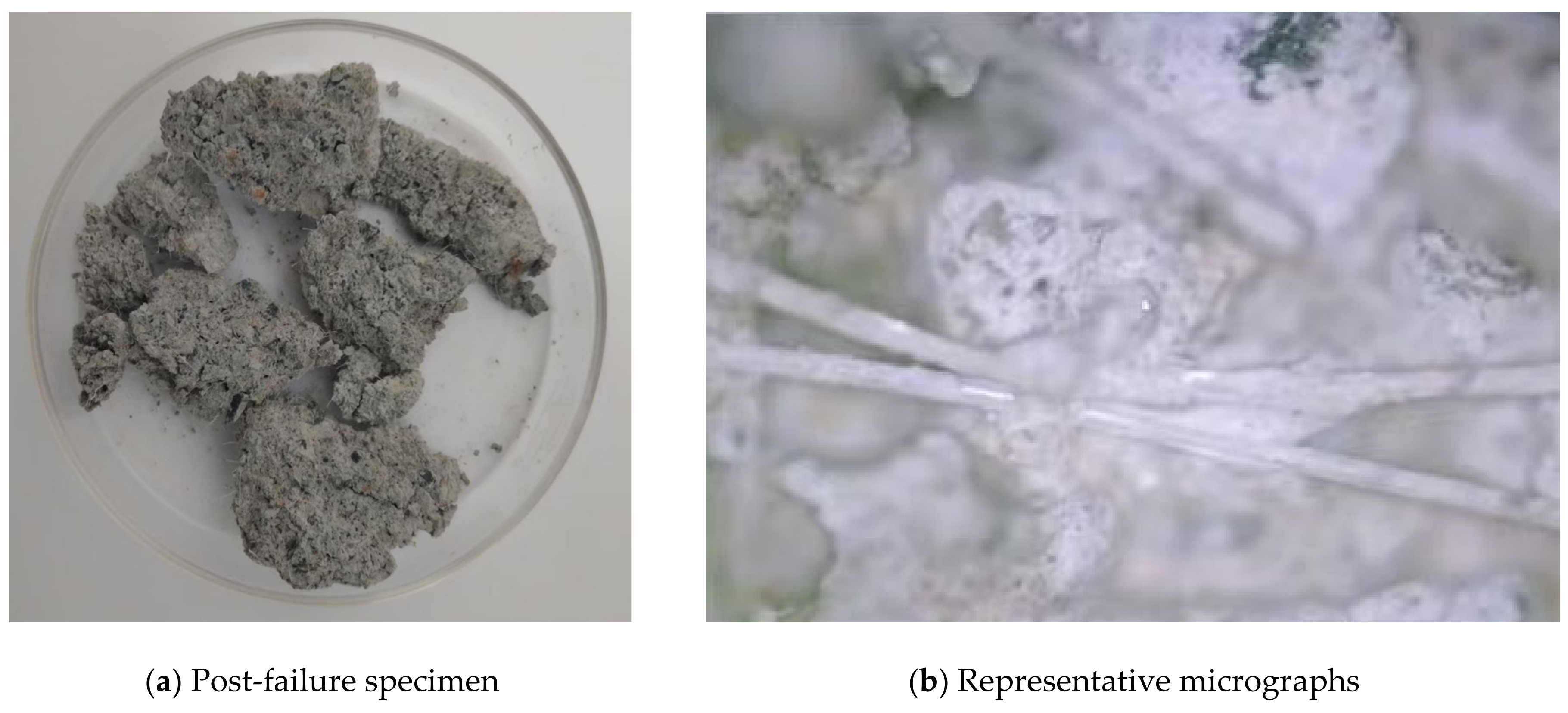 Buildings 15 03689 g007