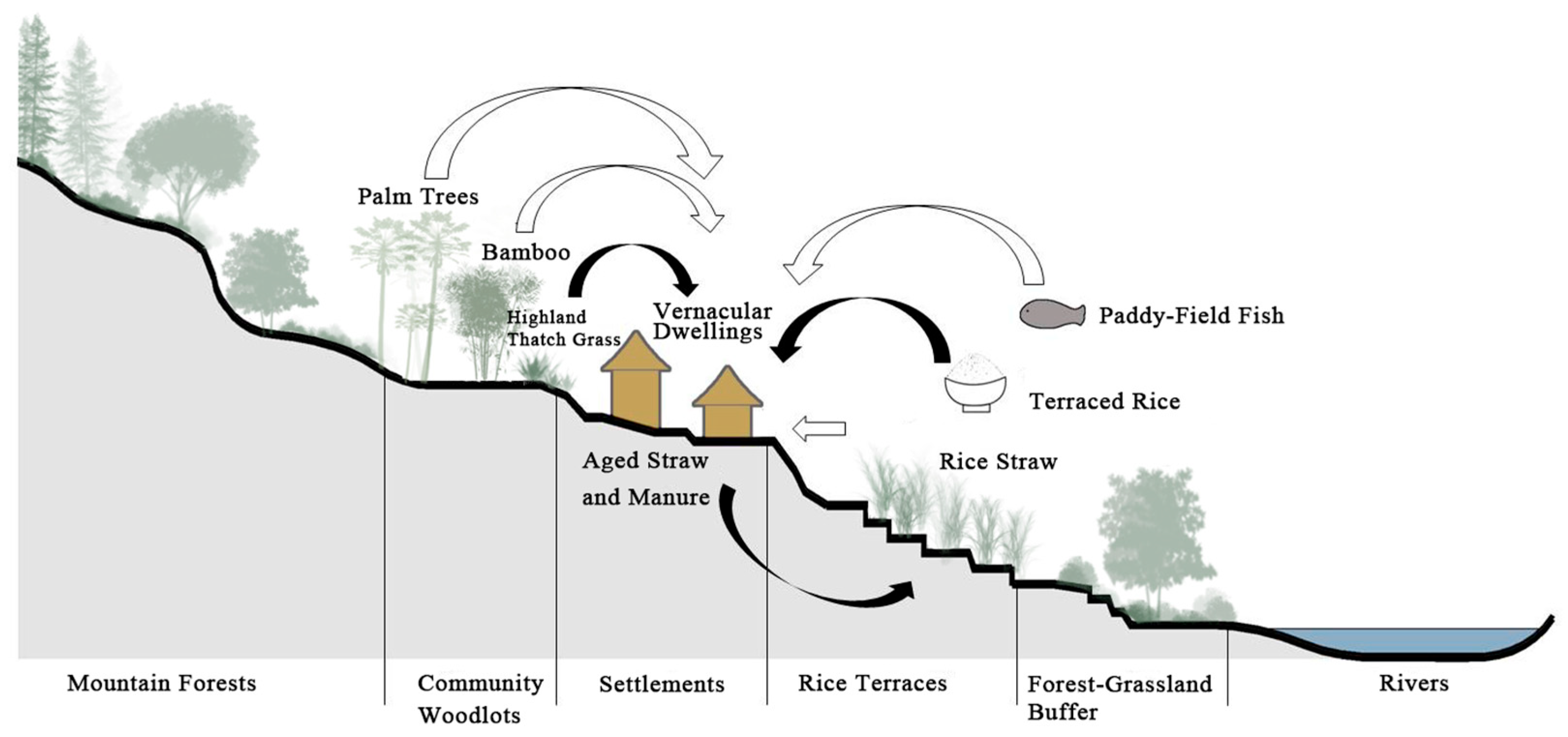 Buildings 15 03710 g003